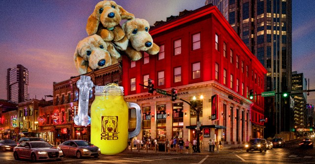 Composite image featuring the exterior of Ole Red Nashville, plush dogs, and a bright yellow drink next to a bone-shaped shot glass.